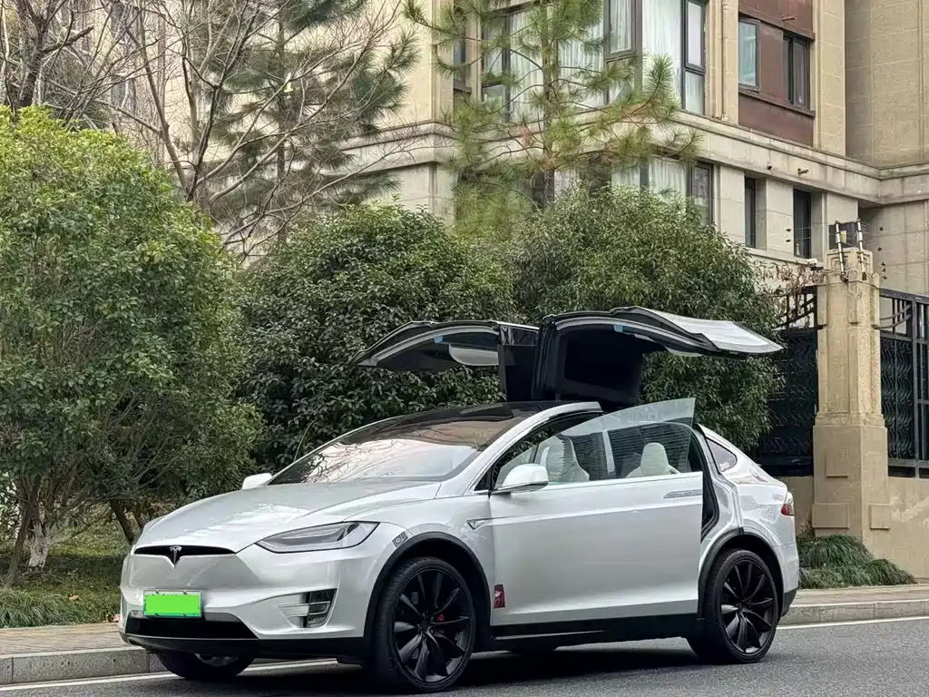 Tesla Model X 2016 — фото 2