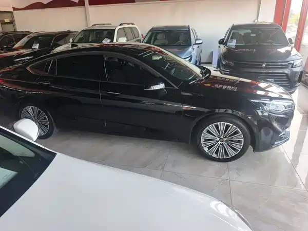Hongqi H5 2021
