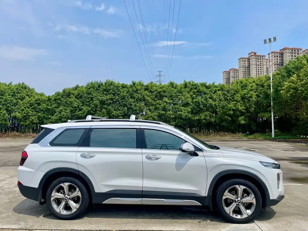 Hyundai Santa Fe 2019 — фото 15