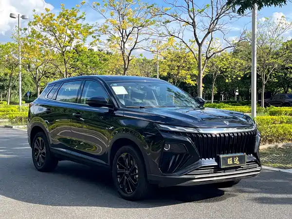 Dongfeng Haoji 2025