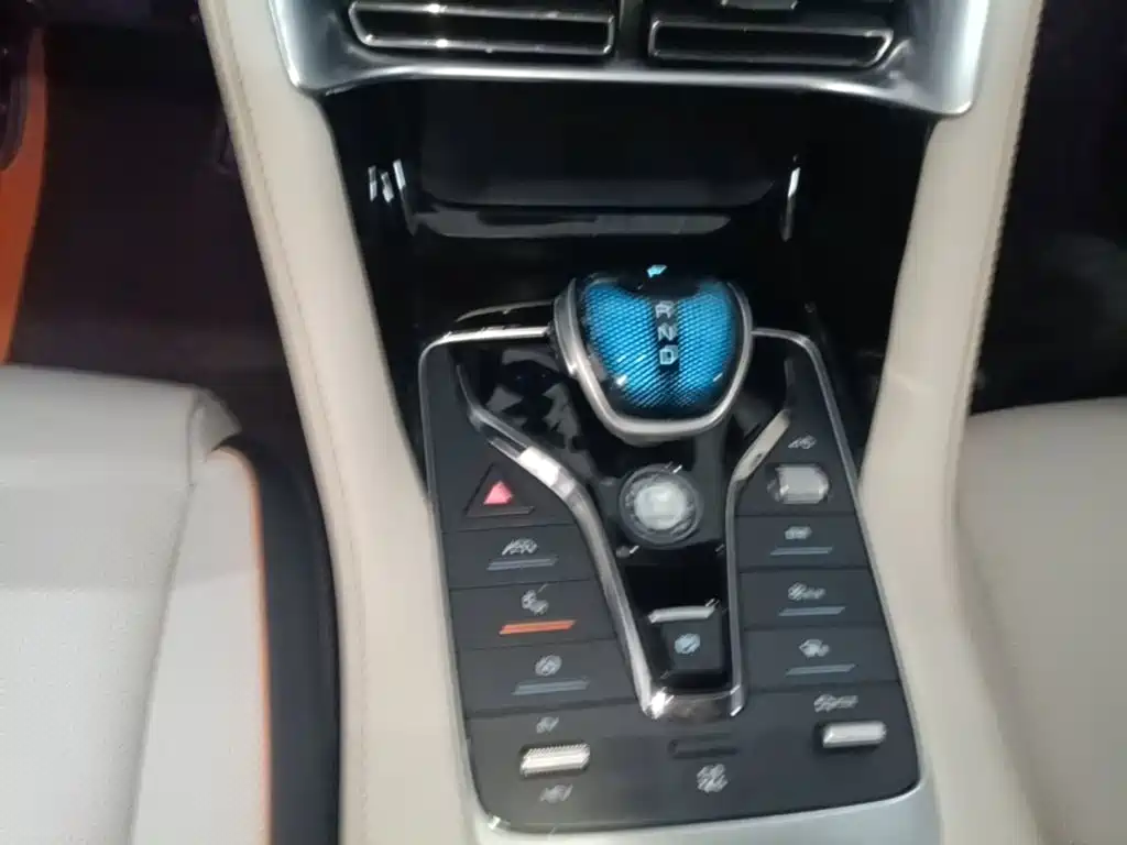 BYD Song PLUS New Energy 2022 — фото 14