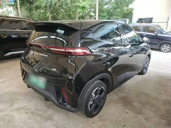 BYD Seagull 2024