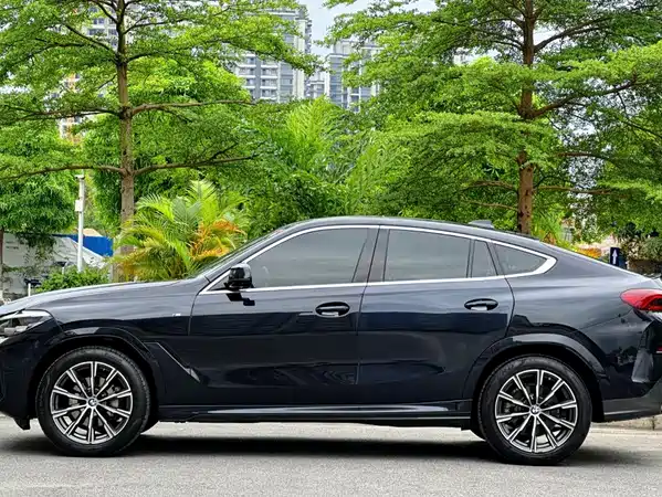 BMW X6 2020