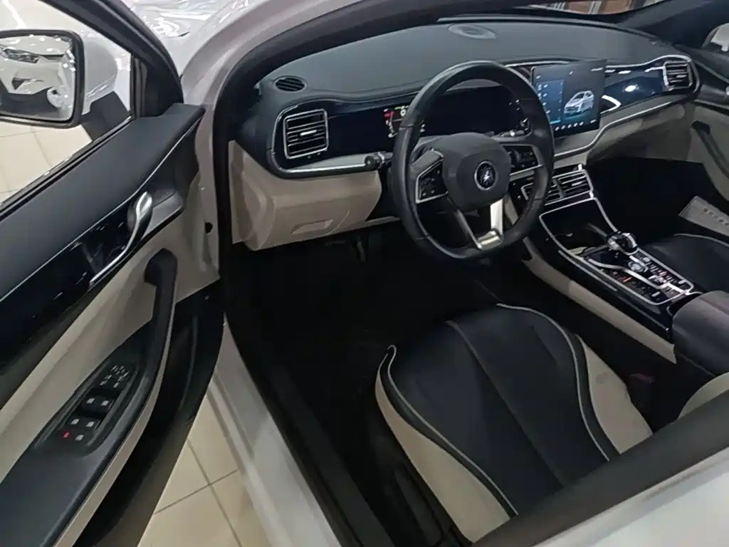 BYD Qin PLUS 2022 — фото 16