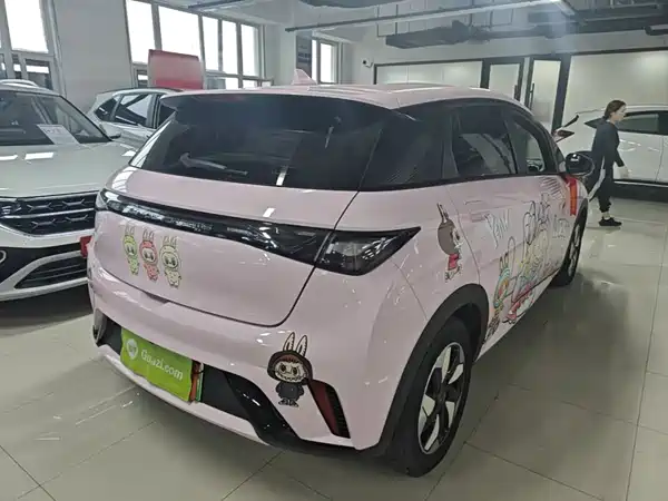 BYD Dolphin 2024