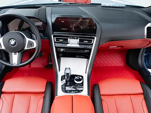 BMW 8 Series 2019
