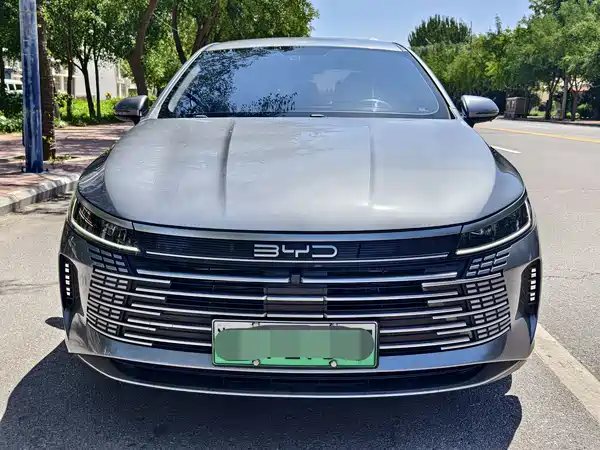 BYD Destroyer 05 2024