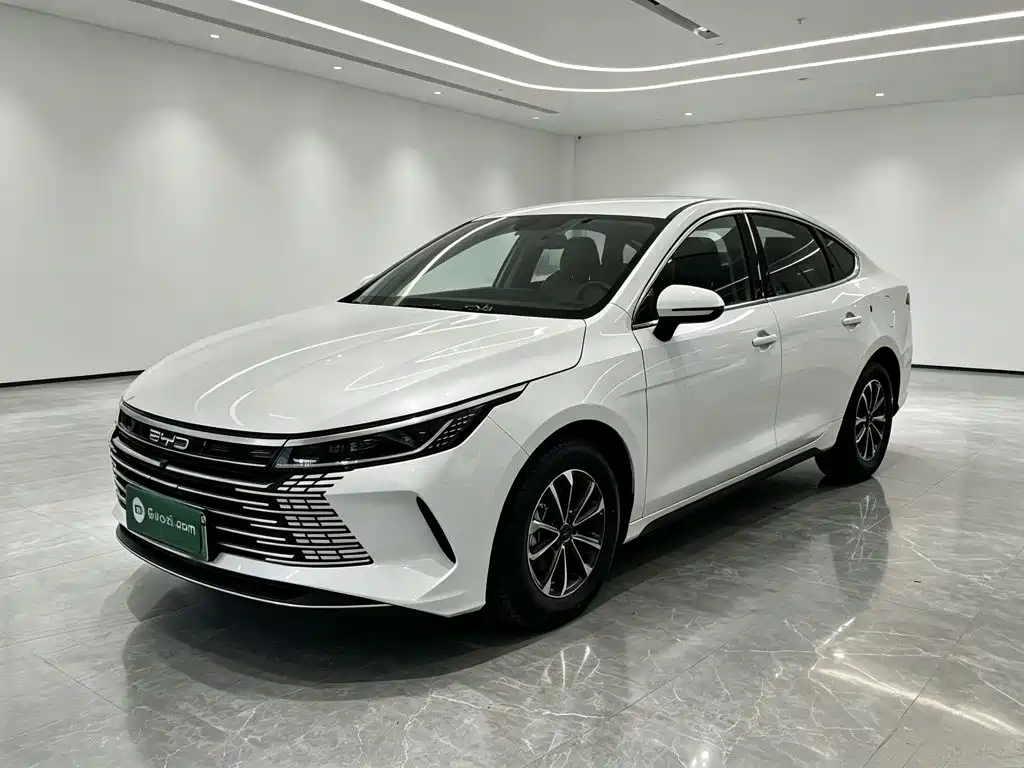 BYD Destroyer 05 2024 — фото 2