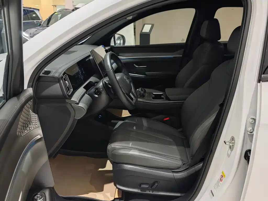 BYD Song Pro New Energy 2025 — фото 5