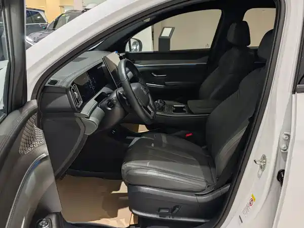 BYD Song Pro New Energy 2025
