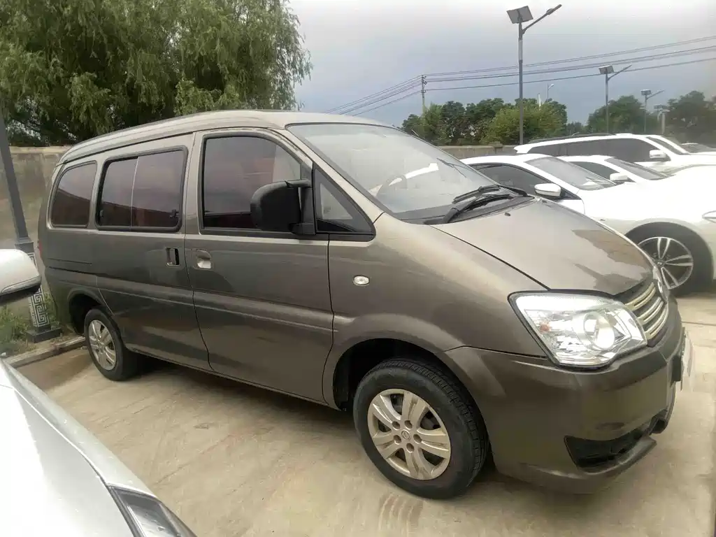 Fengxing Lingzhi 2018