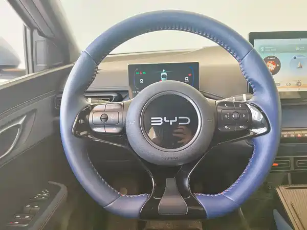BYD Seagull 2024