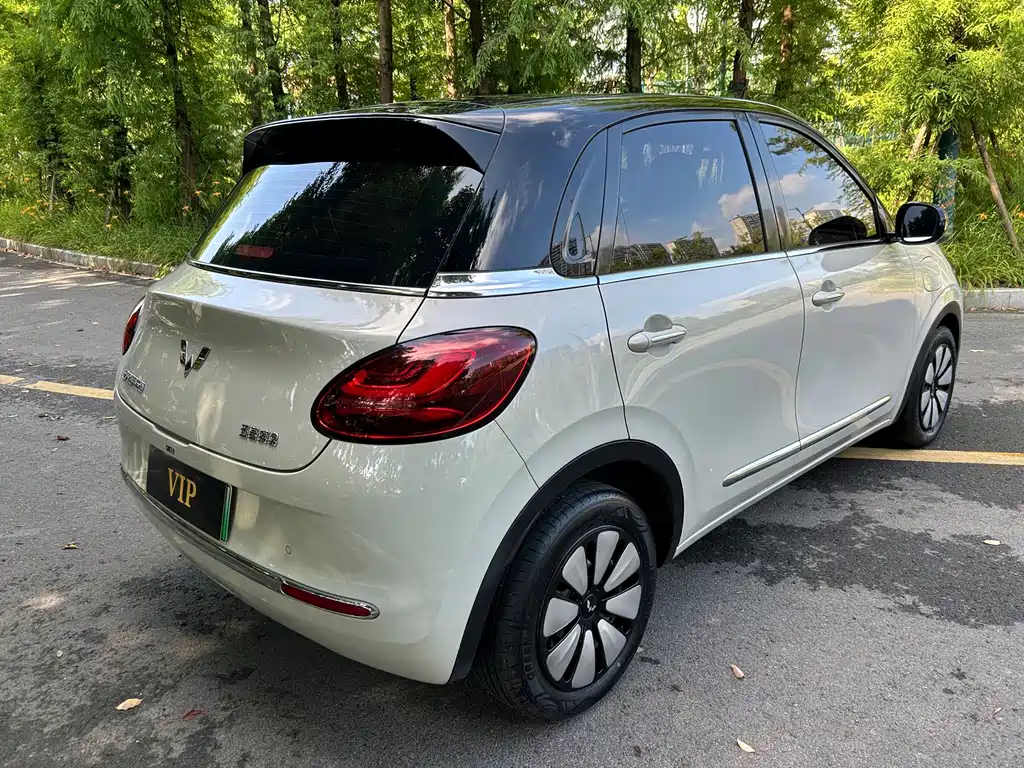 Wuling Bingo 2024