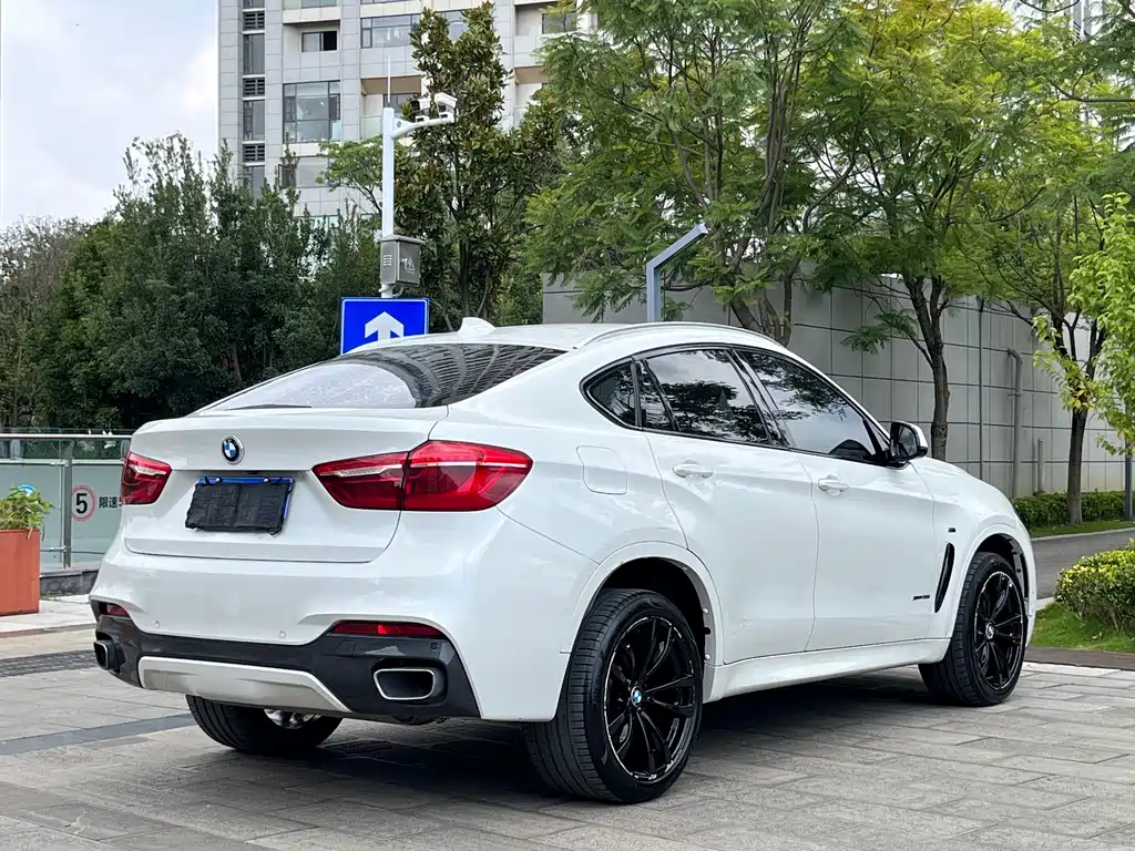 BMW X6 2017 — фото 7