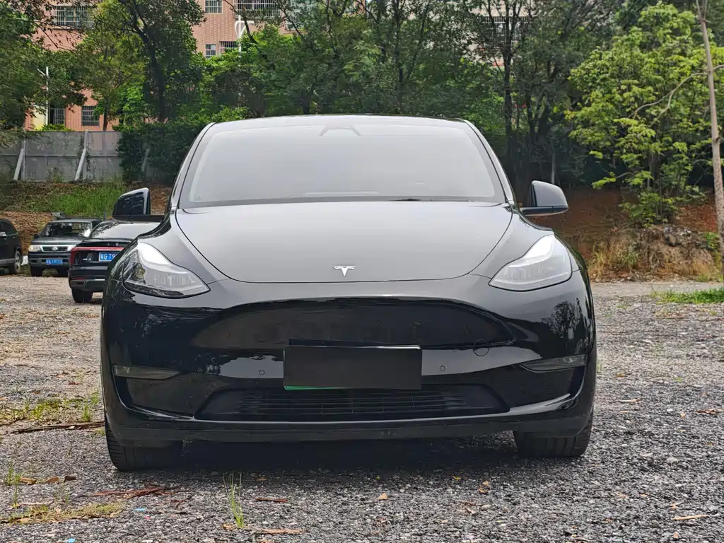 Tesla Model Y 2022 — фото 2