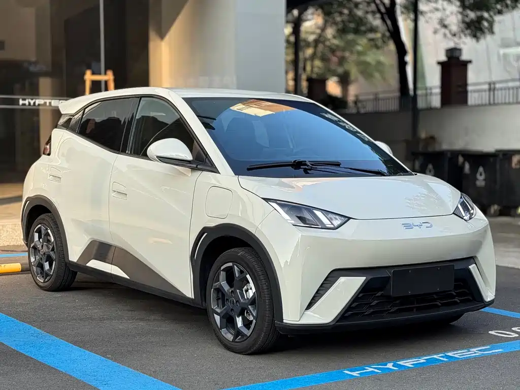 BYD Seagull 2024