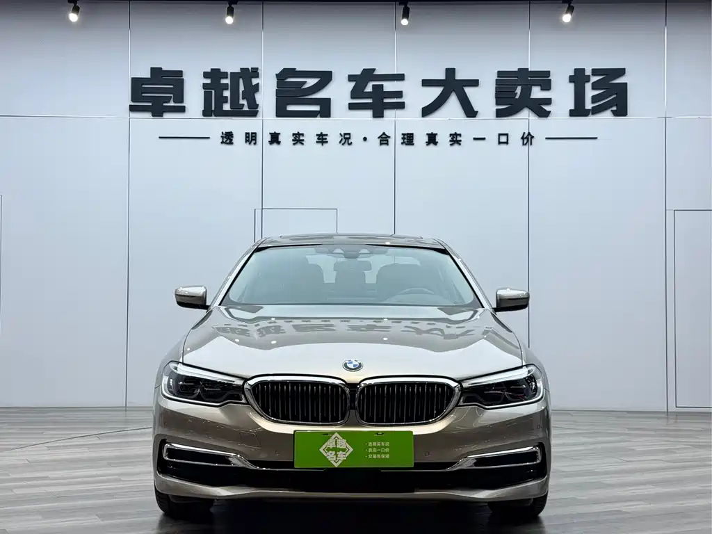 BMW 5 Series New Energy 2019