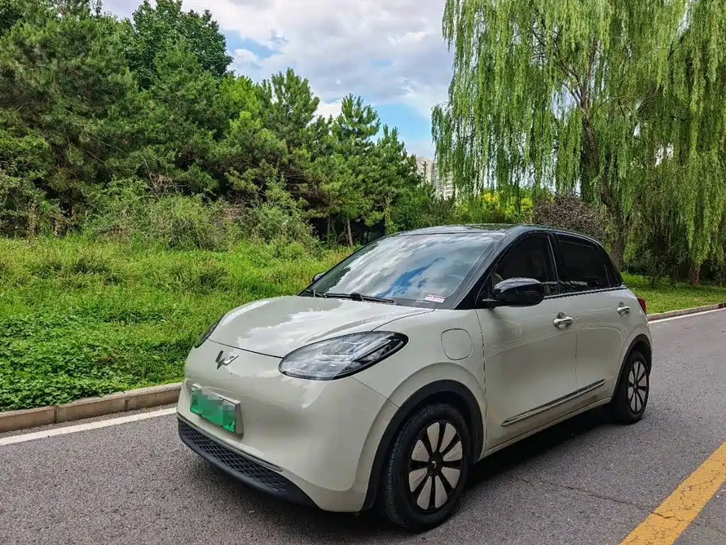 Wuling Bingo 2023
