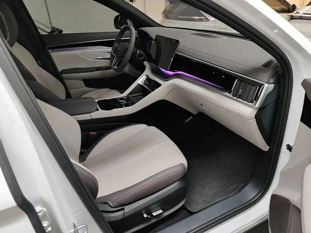 BYD Song PLUS New Energy 2024 — фото 25