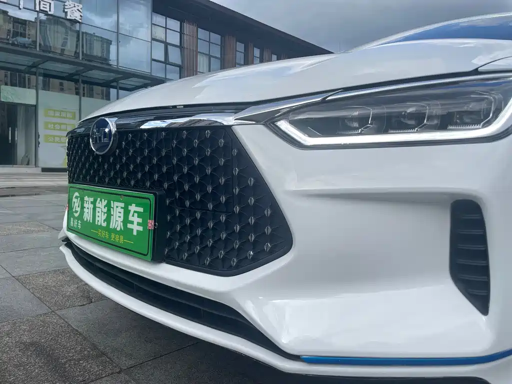 BYD e2 2021