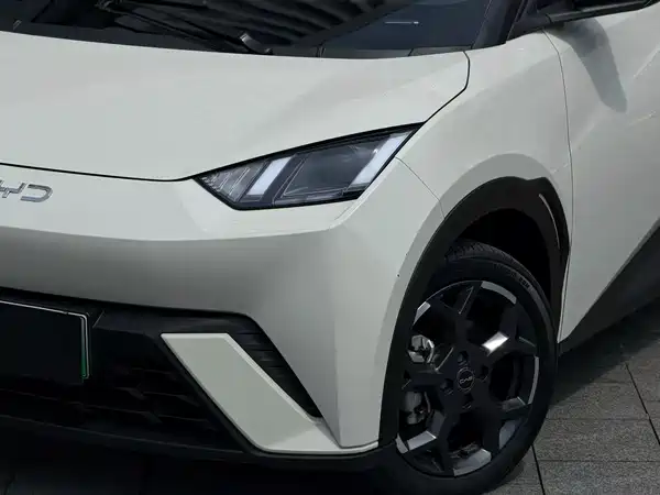 BYD Seagull 2024