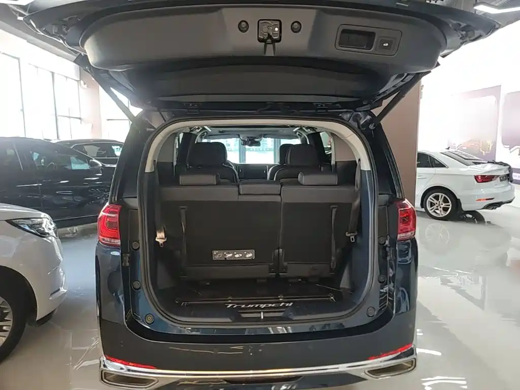 GAC Trumpchi M8 2023 — фото 19