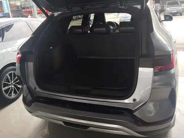 BYD Song PLUS New Energy 2024
