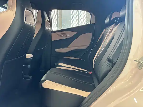 BYD Seagull 2024