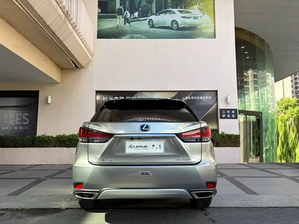 Lexus RX 2021 — фото 4
