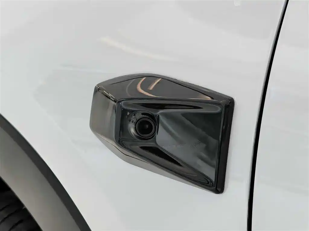 BYD PLUS New Energy 2025 — фото 15