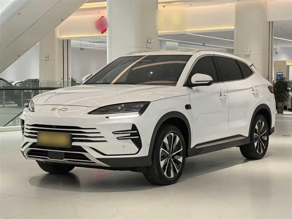 BYD PLUS New Energy 2025 — фото 3
