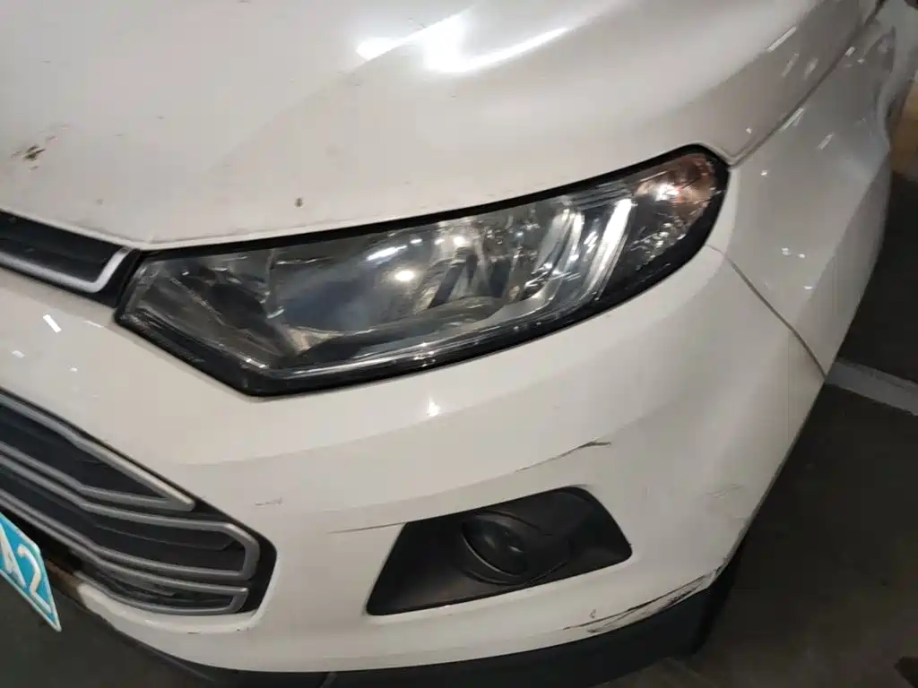 Ford Ecosport 2014 — фото 24