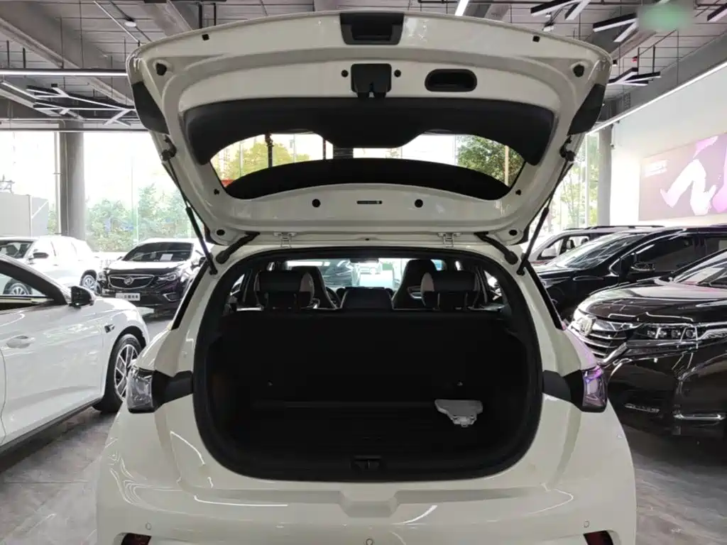 BYD Dolphin 2024 — фото 19