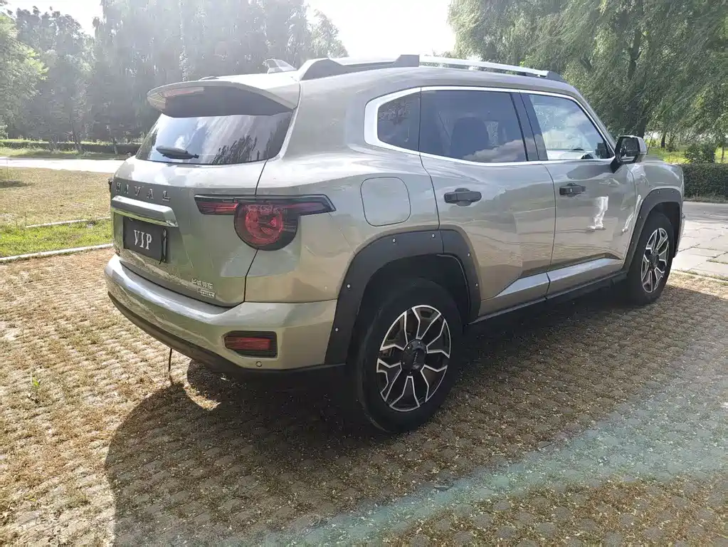 Haval Big Dog PLUS New Energy 2023 — фото 9