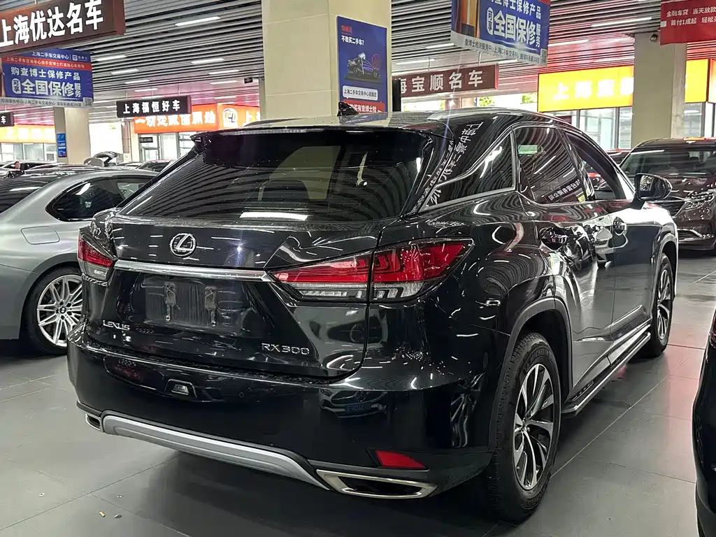 Lexus RX 2021 — фото 14