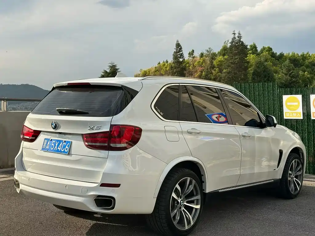 BMW X5 2018 — фото 9