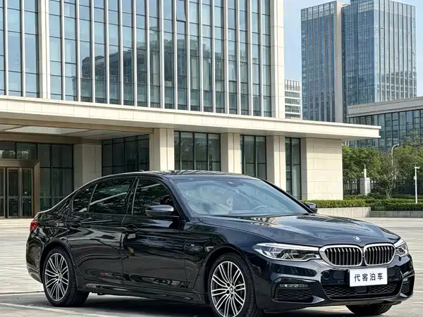 BMW 5 Series 2019