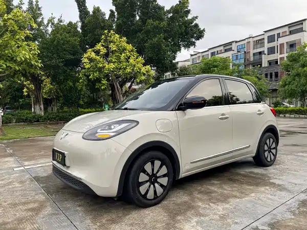 Wuling Bingo 2024