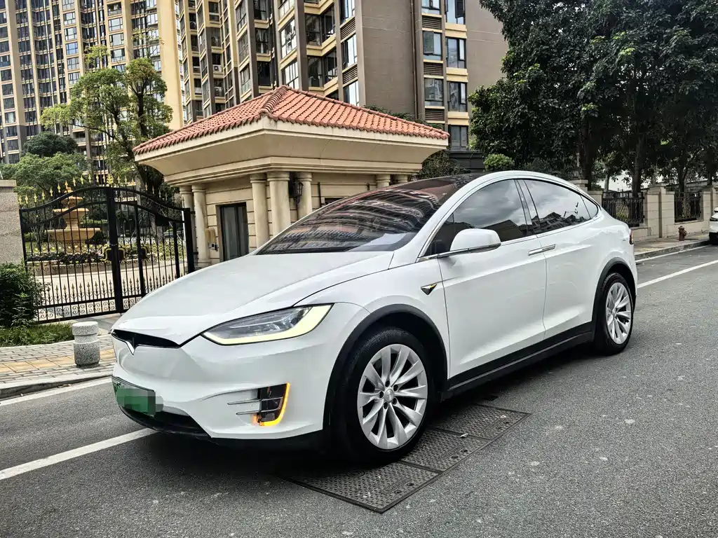Tesla Model X 2020 — фото 3