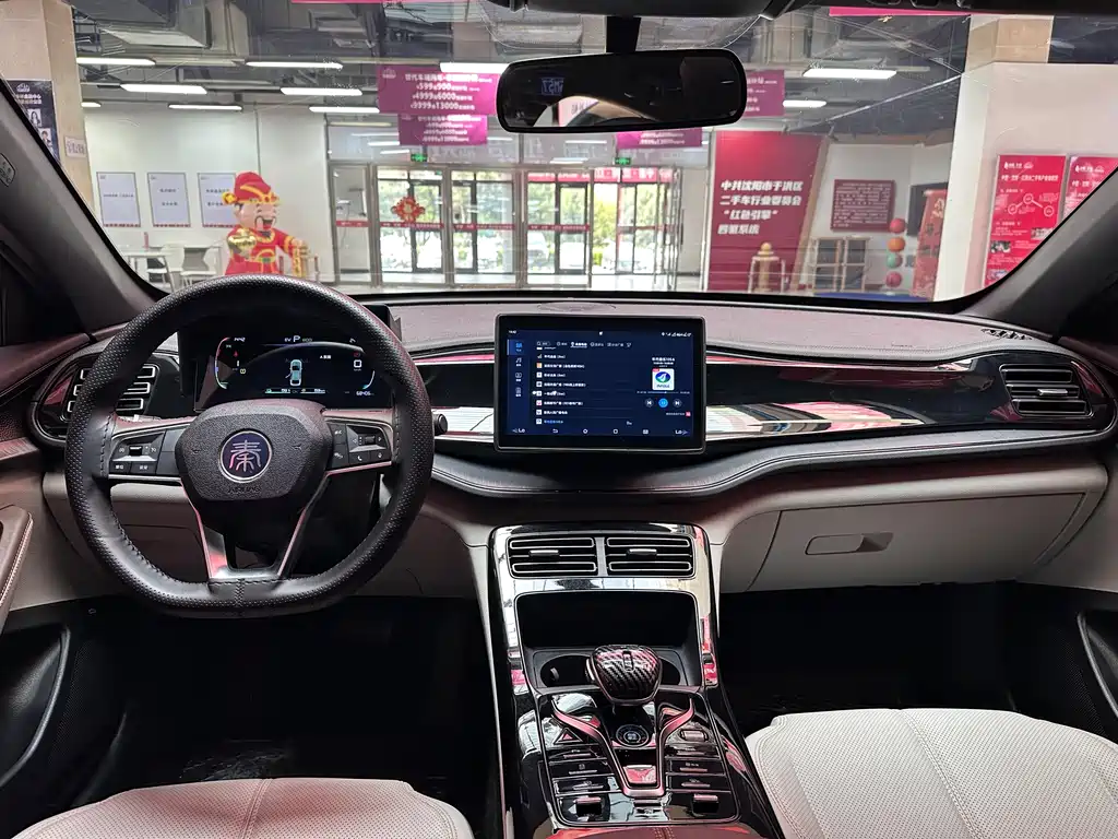 BYD Qin PLUS 2024 — фото 15