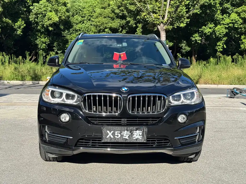 BMW X5 2017 — фото 2