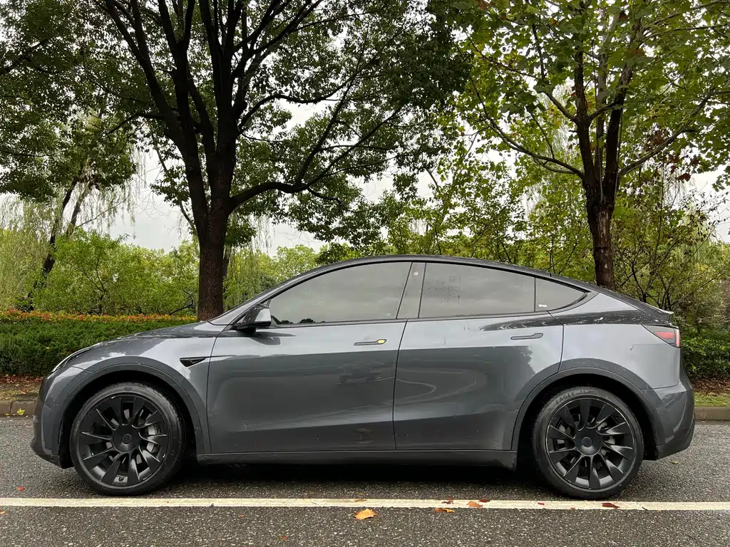 Tesla Model Y 2021 — фото 2