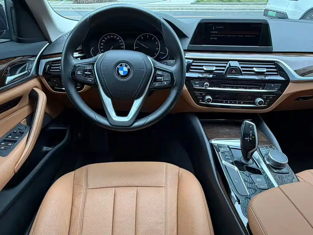 BMW 5 Series 2017 — фото 13