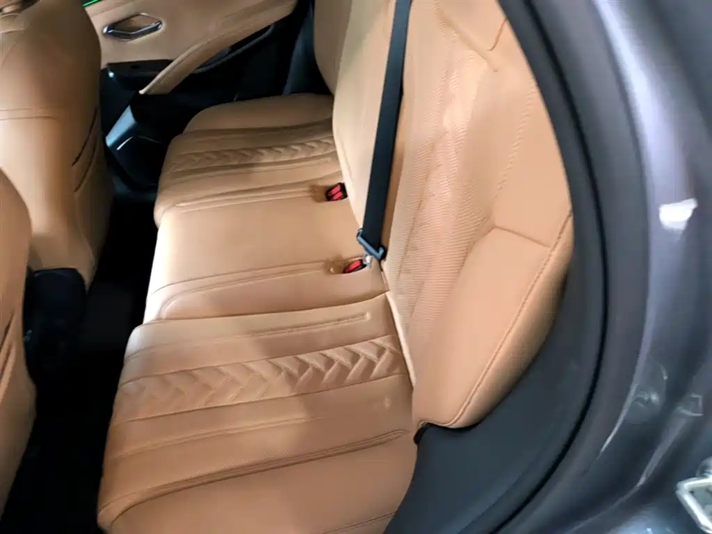 BYD L DM-i 2024 — фото 17