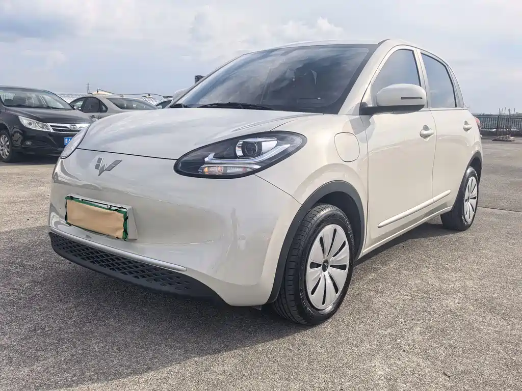 Wuling Bingo 2024
