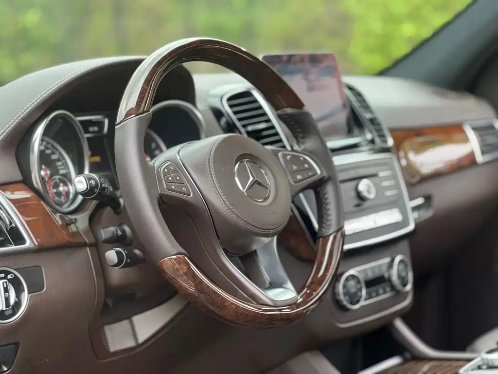 Mercedes-Benz GLS 2017 — фото 18