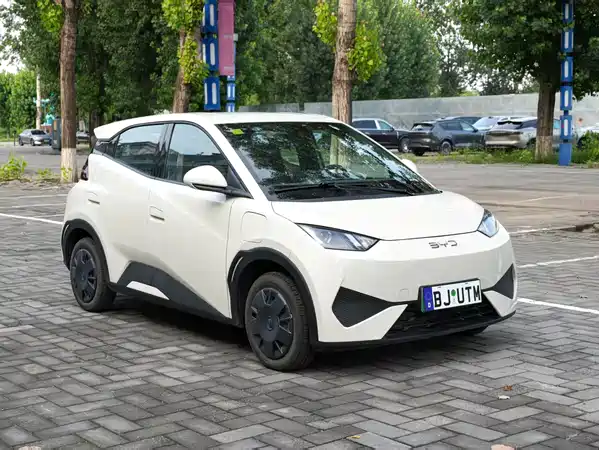 BYD Seagull 2026