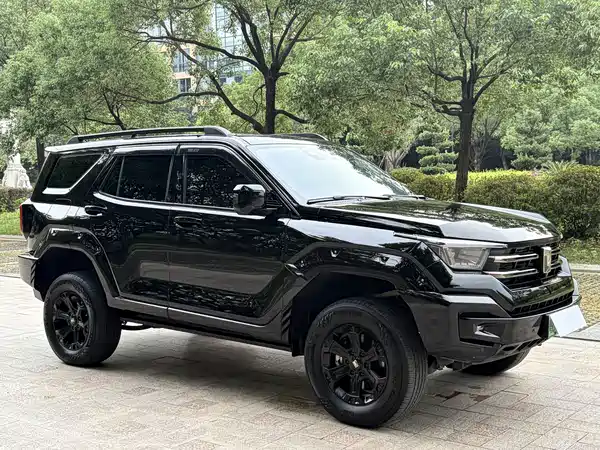 Tank 400 New Energy 2025