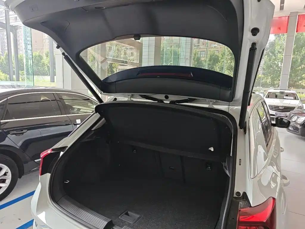 Volkswagen T-Roc 2020 — фото 19