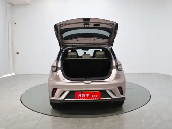 BYD Dolphin 2022